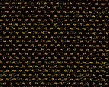 dingo-52.jpg